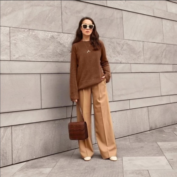 Zara Pleated Wide Leg Pants - Picture 8 of 16